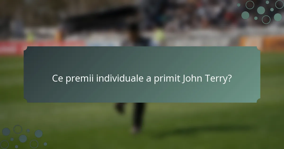 Ce premii individuale a primit John Terry?