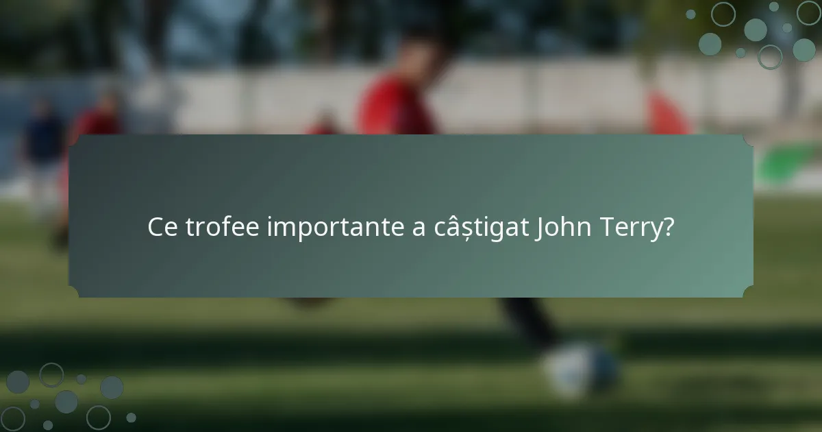 Ce trofee importante a câștigat John Terry?